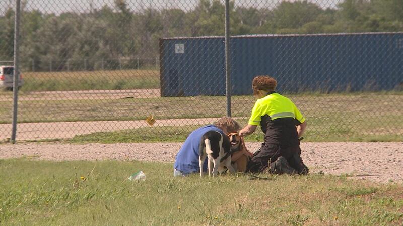 Vicky Denton reunites with her dog Gracie after she went missing for a week. (Source: Madison...