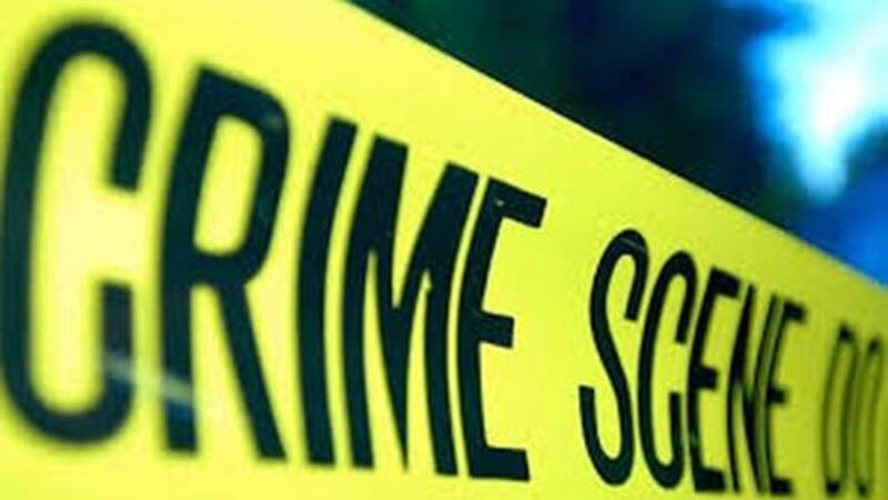 Two dogs fatally attacked a family in their home near Shelby Forest State Park Wednesday.