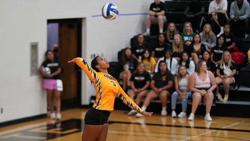 NPCC Knights Volleyball player Vanessa Wood